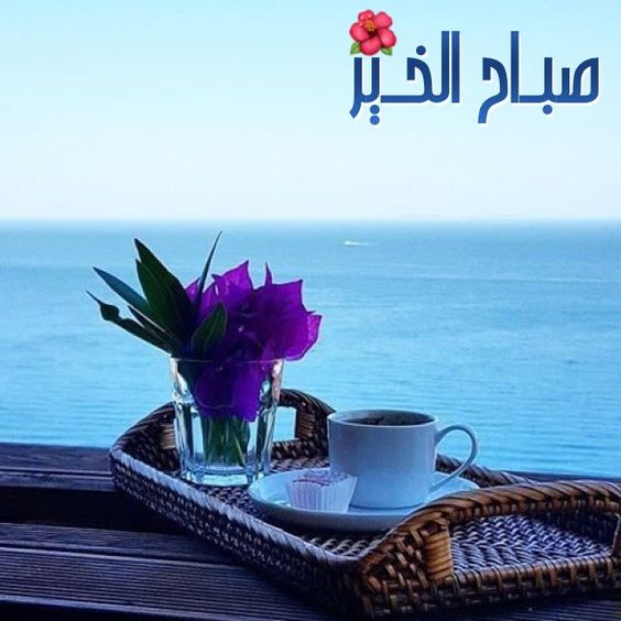 فيديو صباح الخير - مقطع رائع لصباح الخير والسعادة 504