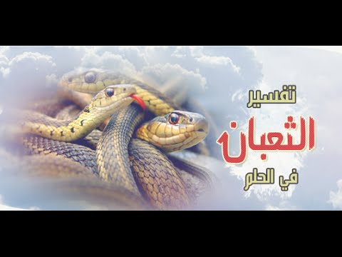 تفسير رؤية الثعبان في المنام , فيديو يفسر قدوم الثعابين فى الحلم