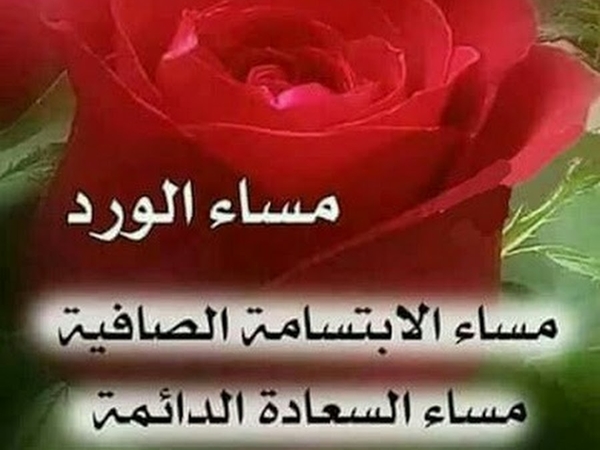 مساء الورد شعر , كل مساء معك عشق