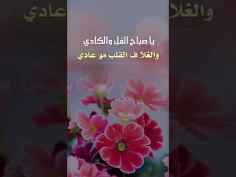 صباح الفل - صور مميزة لكلمة صباح الفل تبادلها مع اصحابك 1188 9