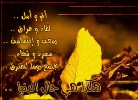 صور شعر عن الحب , اجمل الكلمات فى وصف الحب