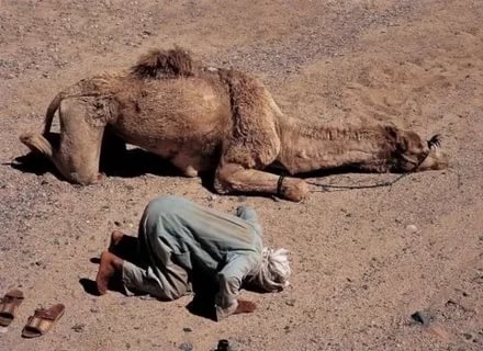 صور عجيبه , اغرب المشاهد التى التقطتها الكاميرا