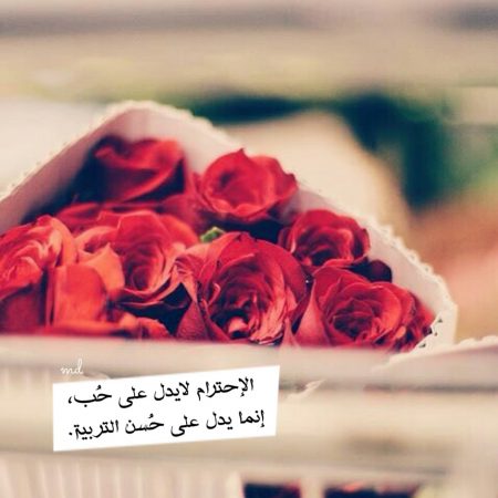 صور واتس جميلة - اجمل خلفيات للواتس جامدة اوي 3914 1