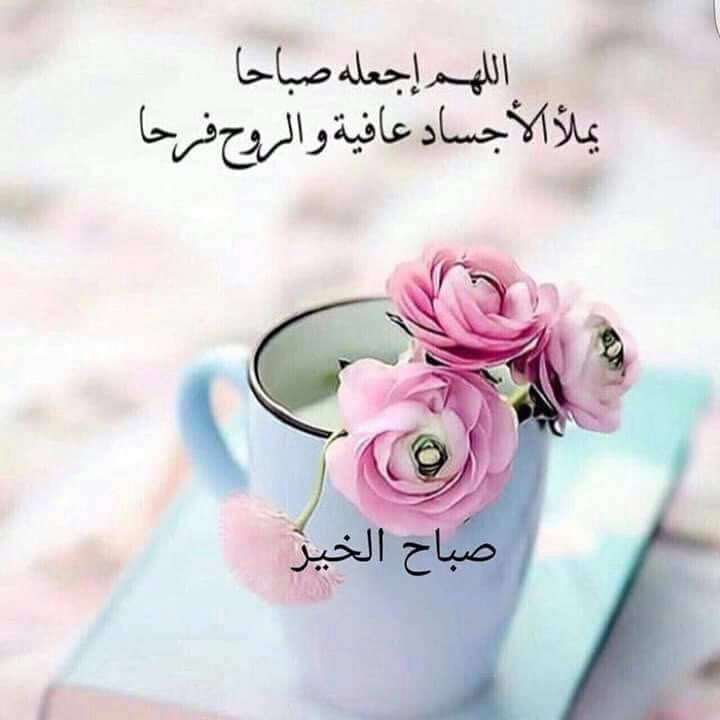 صباح الفل حبيبي 8098 7