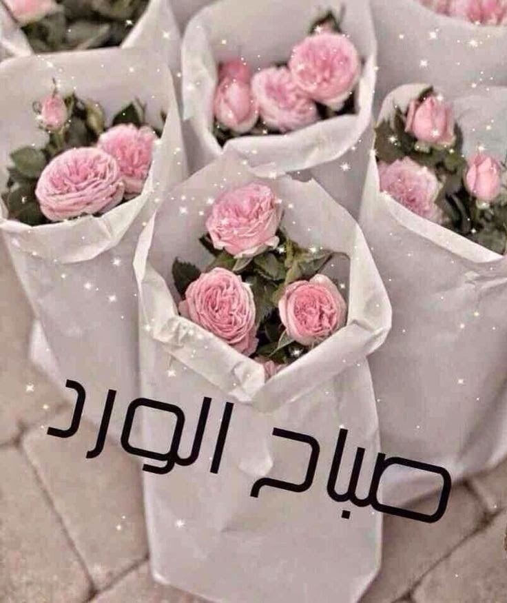 صباح الورد فيس , اروع صور ورد للصباح