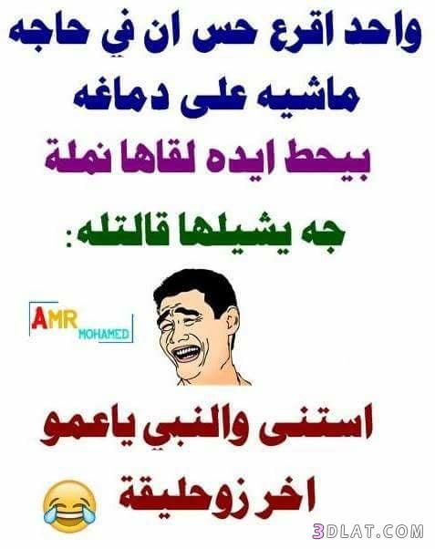 نكت 18 للكبار 8717 8