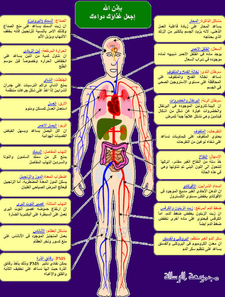 صور علمية - صور علميه معلمه رائعه جدا 3482 4