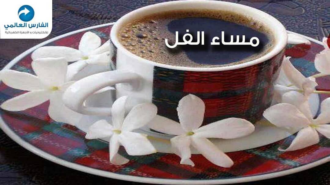 صور مساء الفل - اجمل الصور لكلمة مساء الفل 1037 7