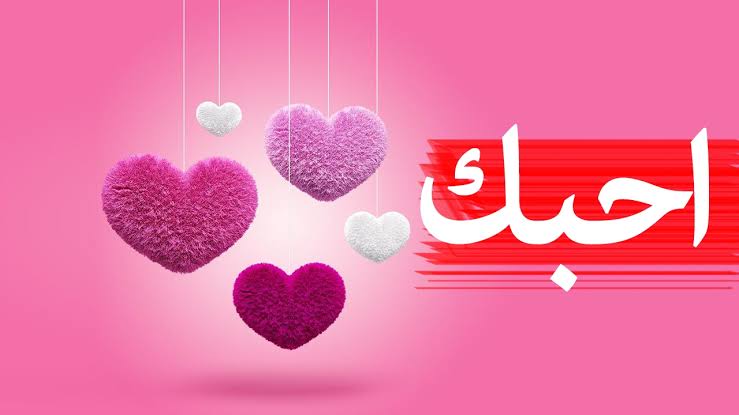 اجمل عبارات الحب - سعادتى وموطنى فى حضنك 2243 6