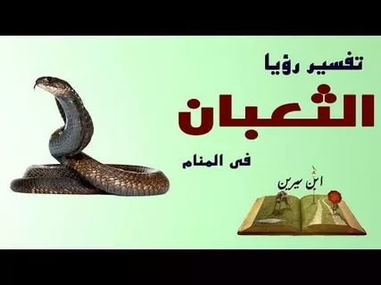 تفسير رؤية الثعبان في المنام - فيديو يفسر قدوم الثعابين فى الحلم 1385