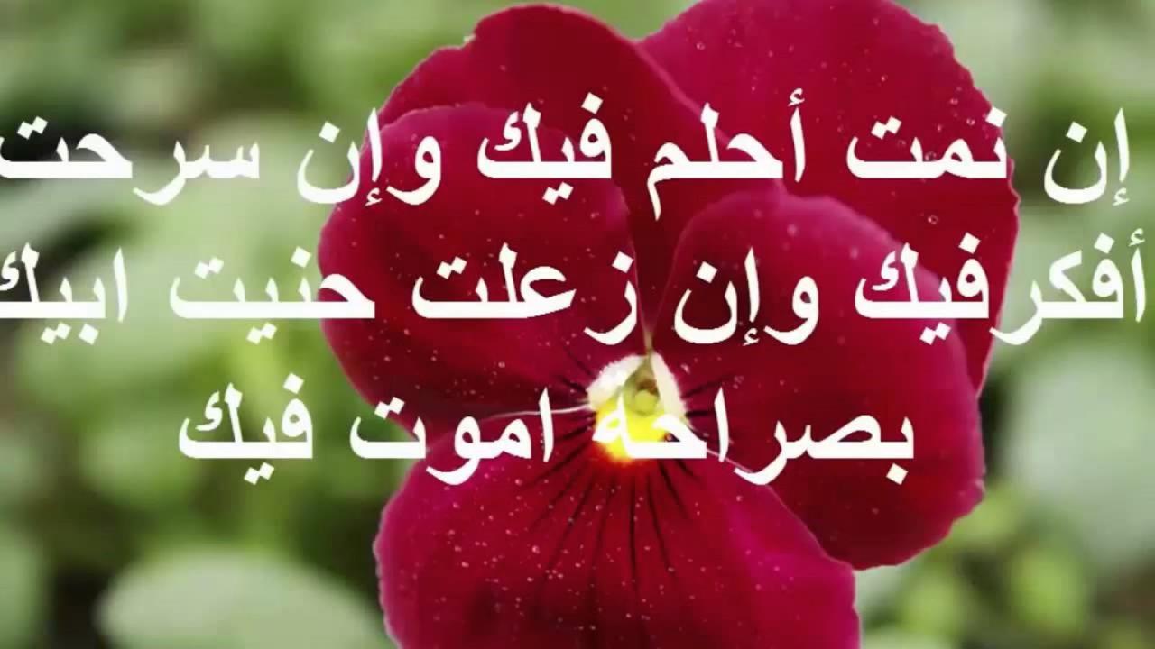 شعر للحبيب الغالي - احبك في كل لحظه وفي كل ثانيه 2156 5