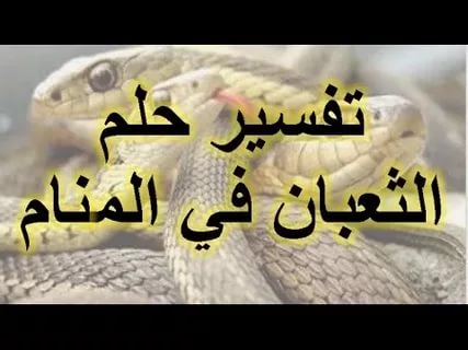 تفسير الحية في المنام , شرح ظهور الثعبان فى الحلم