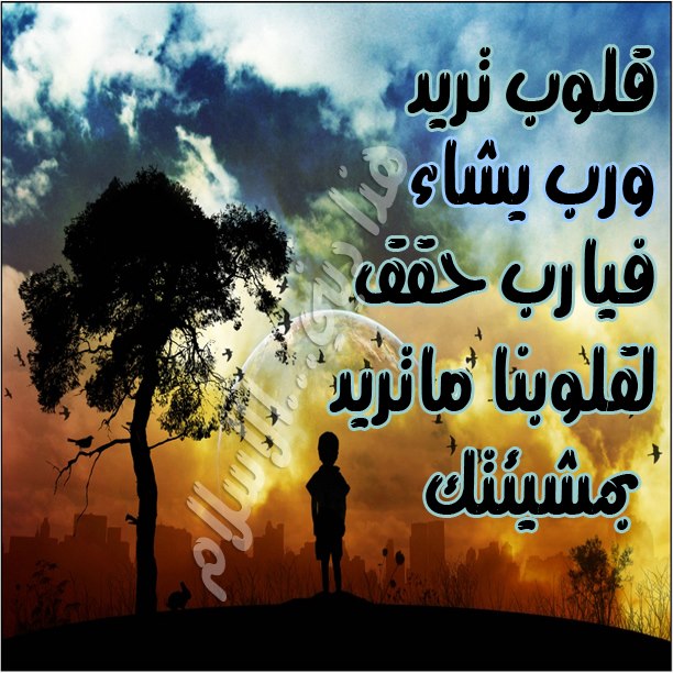 احلى صور واتساب , تصميمات جديدة فى صور الواتساب