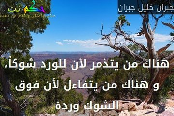 شعر عن الورد - كلمات رائعة ومعبرة عن جمال الورد 220 8