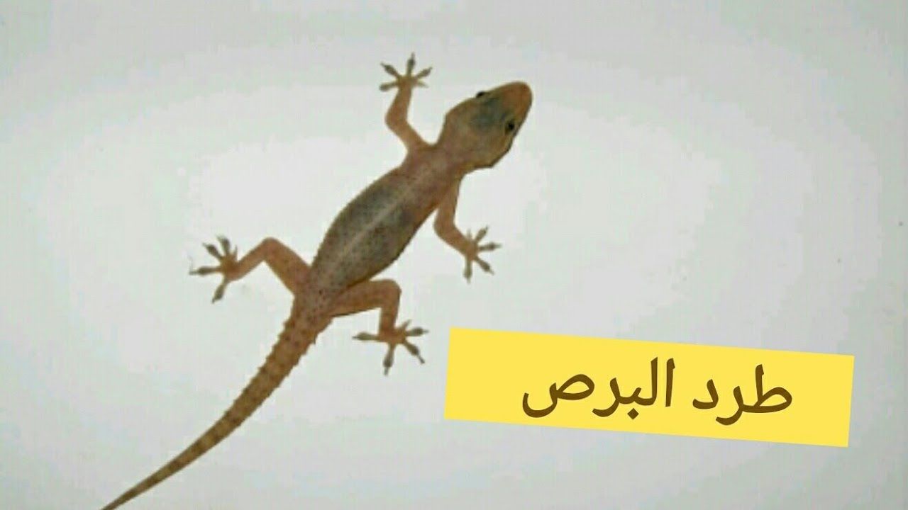 التخلص من البرص