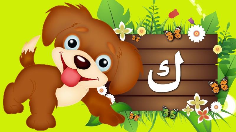 اوفي الحيوانات الكلب -حيوان بحرف ك 9752 1