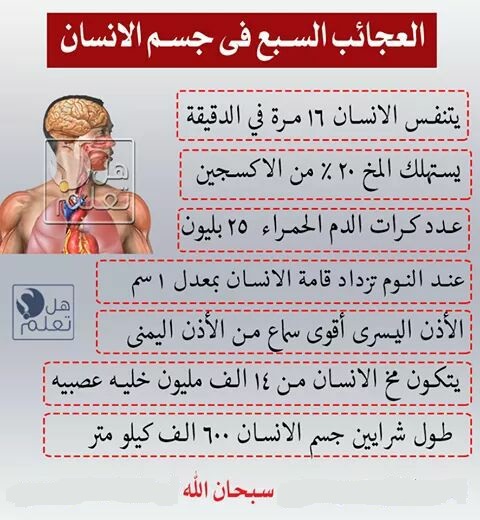 هل تعلم عن جسم الانسان - مالا تعرفه عن جسم الانسان 11381 1