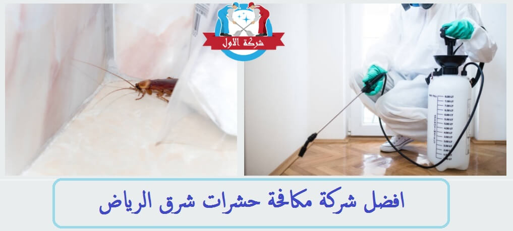 شركة مكافحة حشرات شرق الرياض , الحشرات  المزعجة والقضاء عليها