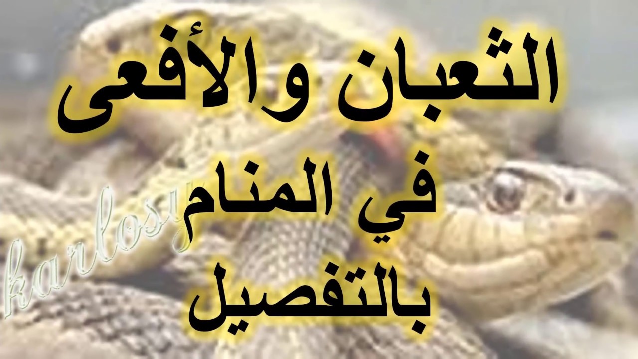 تفسير حلم رؤية الافعى في المنام