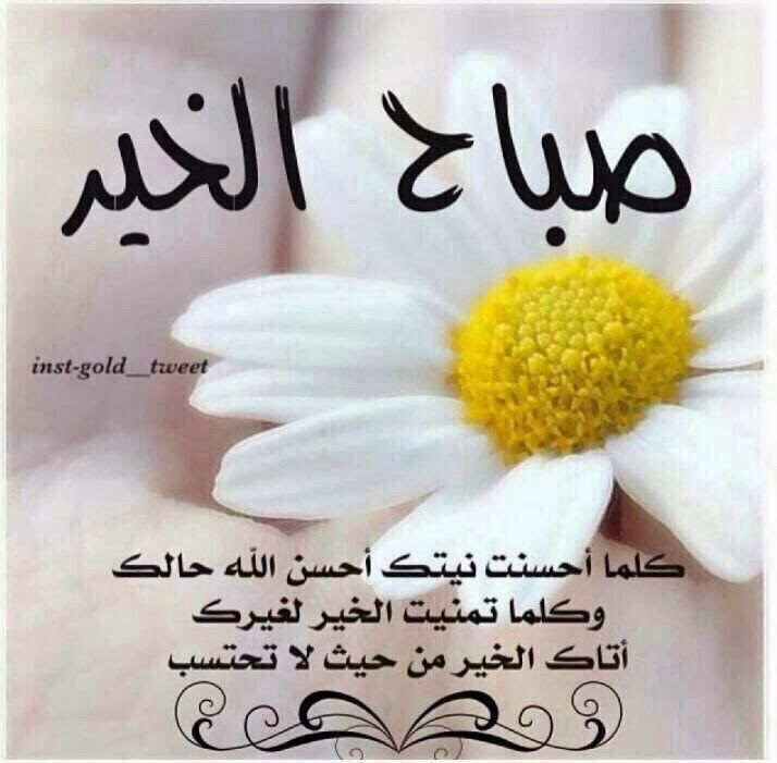 رسالة صباح الخير - اجمل الرسائل الصباحيه 936 4