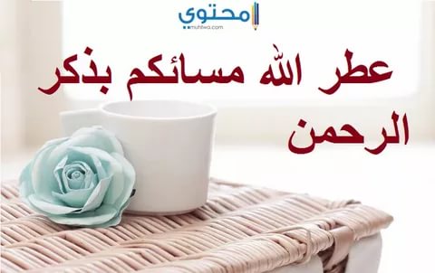 مسجات مسائية - رسائل مميزة لتحية المساء 309 9