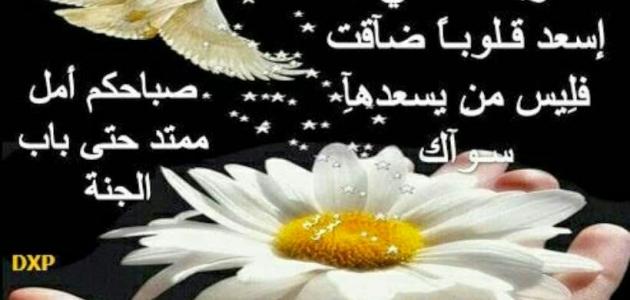 همسة صباحية - كلمات جميلة والرائعة للصباح 553