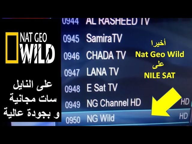 تردد قناة nat geo wild hd على النايل سات