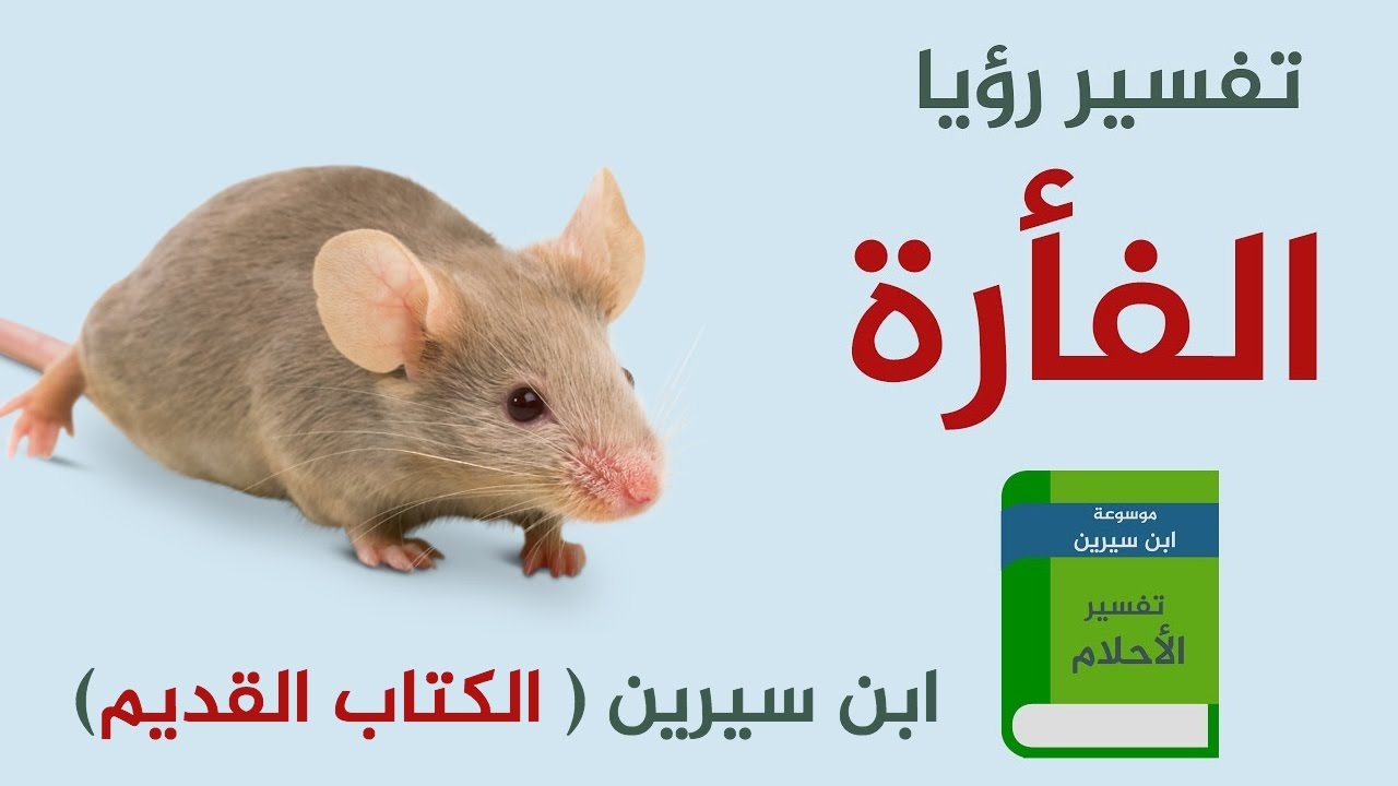 روية الفار في المنام 8032 3