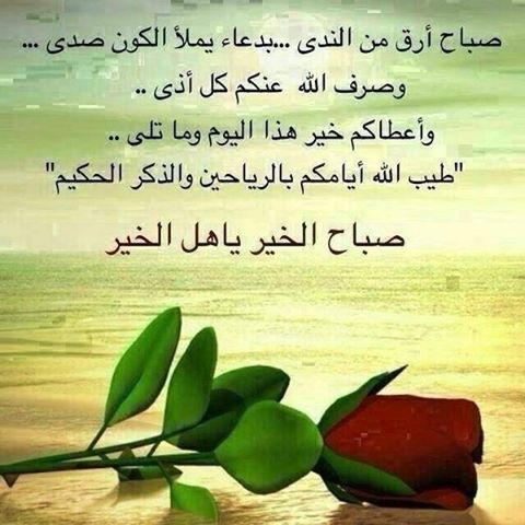 رسالة صباح الخير - اجمل الرسائل الصباحيه 936 5