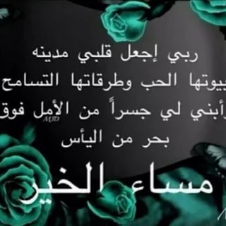 مسجات مسائية - رسائل مميزة لتحية المساء 309 10