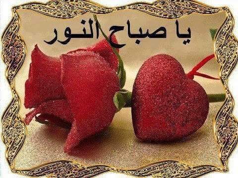 صور صباح النور - صور رائعه جدا لصباح النور 3459 1