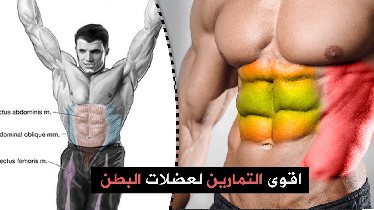 تكبير عضلات البطن 8232 14