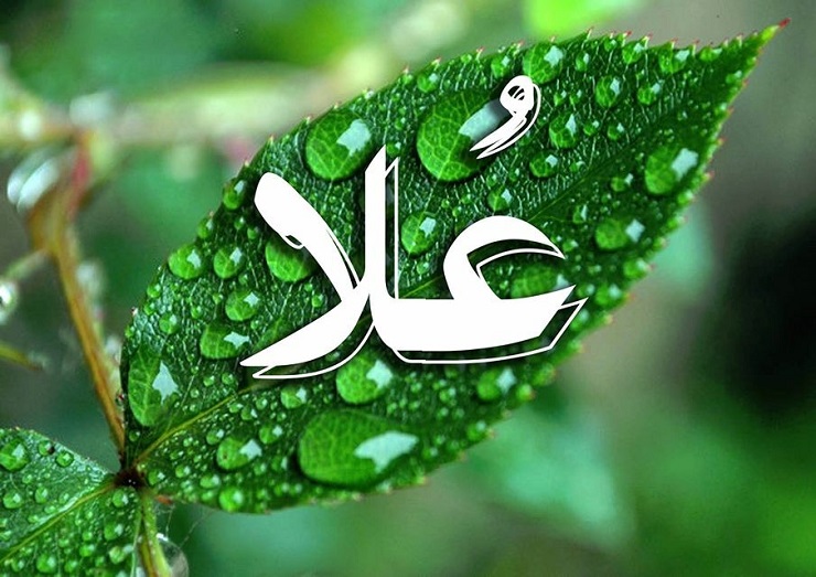 صور اسم علا , اشهر الصفات الماخوذه من اسم علا