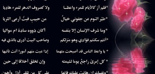 اجمل ابيات الشعر - ابيات شعر قصيره ومعبره جدا 3887 7