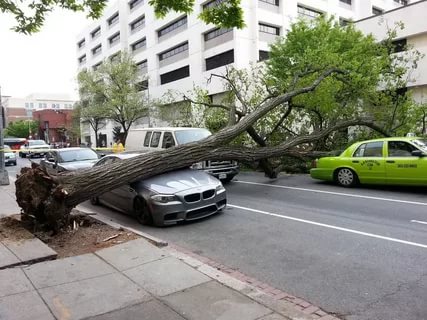 صور غريبه - اكثر صورة غريبة وغير مالوفة ستقابلك 1325 9