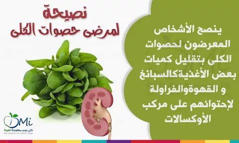 معلومات صحية - تعرف على معلومة طبية تفيد صحتك 370 2