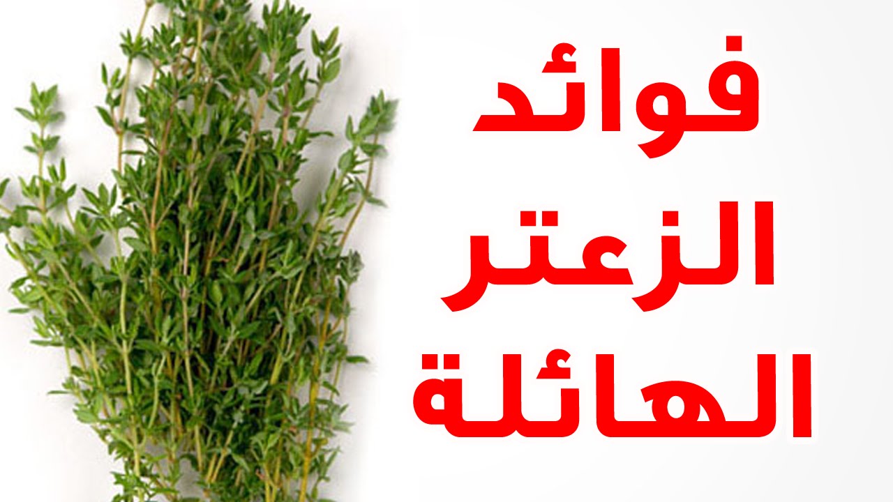 فوائد الزعتر , الزعتر وما يفاعله بجسم الانسان