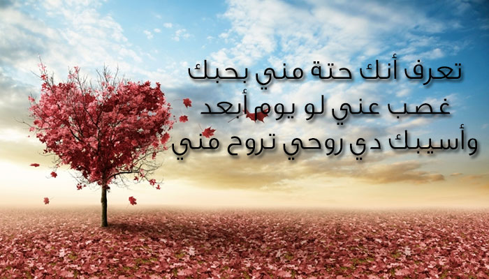 رسايل رومانسيه - اجمد كلام رومانسى 3828 8