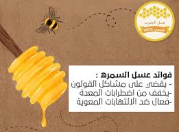 11344 9 فوائد عسل السمر - اروع فوائد لعسل السمر نهلة جلبهار