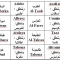 11384 6 كلمات عربية اصلها فرنسي - تعرف على الكلمات الفرنسيه التي يستخدمها العرب نهلة جلبهار