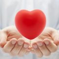 8635 3 كيف اقوي عضلة القلب - الاهتمام بعضلة القلب وتقويتها عاقل كفوري
